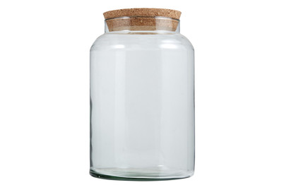 Image of halboffene Terrarium Flasche mittel bei JUMBO