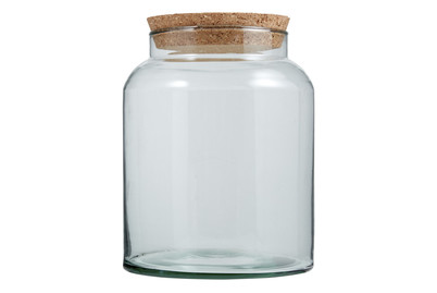 Image of halboffene Terrarium Flasche Klein bei JUMBO