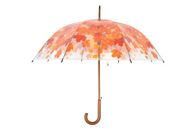 Image of Regenschirm Baumkrone Herbst