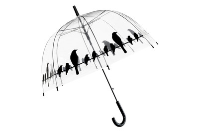 Image of Regenschirm Transparent Vögel
