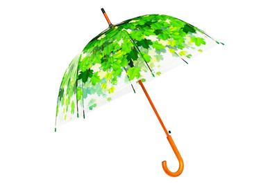 Image of Regenschirm Trans Parent Baümkrone bei JUMBO