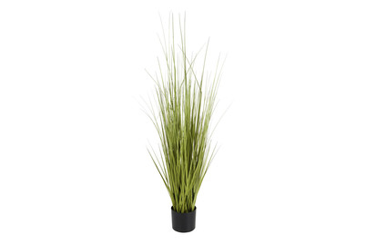 Image of Gras Im Topf H 122cm grün