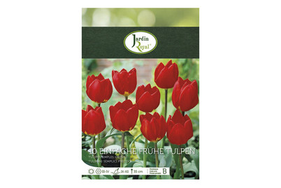 Image of Blumenzwiebeln Tulpen Abba bei JUMBO