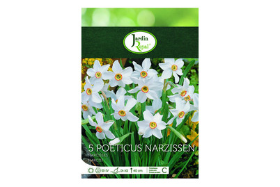 Image of Blumenzwiebeln Narzissen Recurvus bei JUMBO