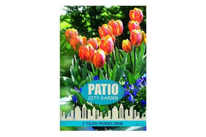 Image of Blumenzwiebeln Tulpen Prinses Irene bei JUMBO