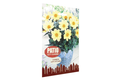 Image of Blumenzwiebeln Dahlien Happy Days Lemon bei JUMBO