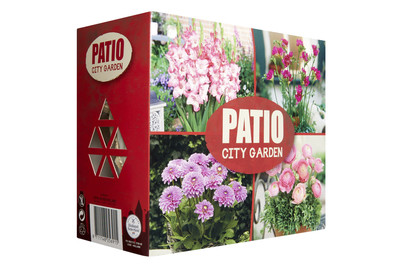 Image of Blumenzwiebeln Patio City Garden Sommer Rosa bei JUMBO