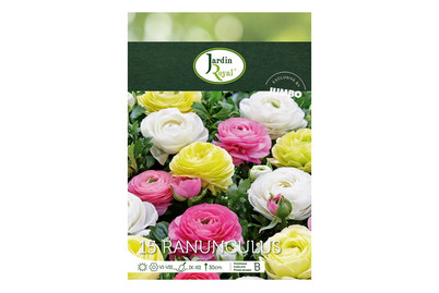 Image of Blumenzwiebeln Ranunkeln pastel bei JUMBO