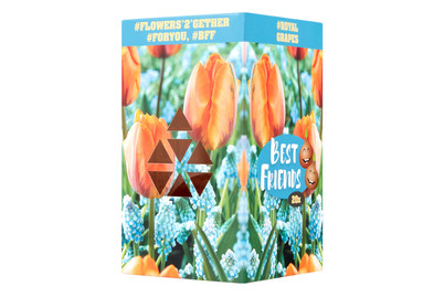Image of Blumenzwiebeln Best Friends Box Royal Grapes bei JUMBO