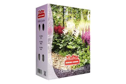 Image of Blumenzwiebeln Astilbe Garden bei JUMBO