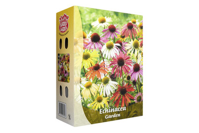 Image of Blumenzwiebeln Sonnenhüte Garden bei JUMBO