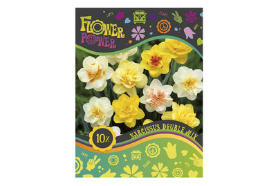 Image of Blumenzwiebeln Narzissen Gefüllt bei JUMBO