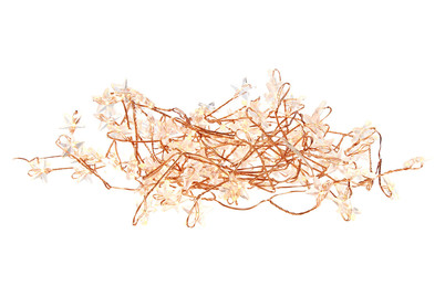 Image of Lichterkette Drahtstern 100 LED bei JUMBO