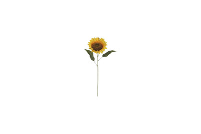 Image of Summerblume gelb 70cm bei JUMBO