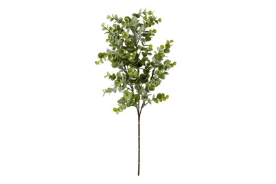 Image of Eukalyptus grün 65cm
