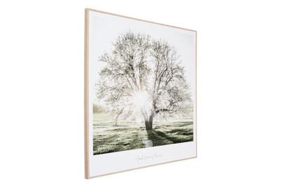Image of Wandbild Slim Frame 50 x 50 cm bei JUMBO