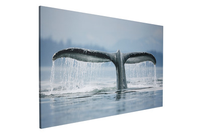 Image of Wandbild Deco Block 70 x 118 cm Whale Tail