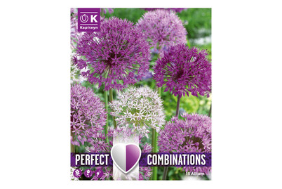 Image of Allium Combi Large Ball Mix 15 bei JUMBO