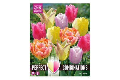 Image of 20 Tulpen Soft Tones Mischung bei JUMBO