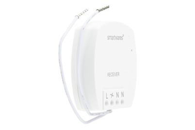 Image of Funk-Einbaudimmer mini 100W bei JUMBO