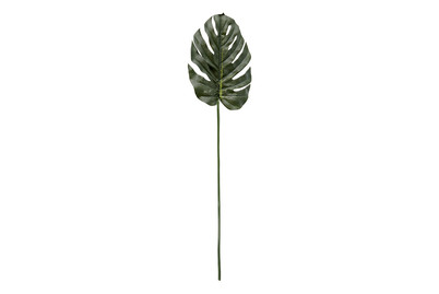 Image of Monstera Einzelblatt grün 88cm bei JUMBO