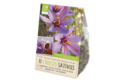 Image of Blumenzwiebeln Krokus Saffran BIO bei JUMBO