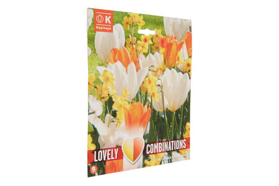 Image of Tulpen und Narzissen bei JUMBO
