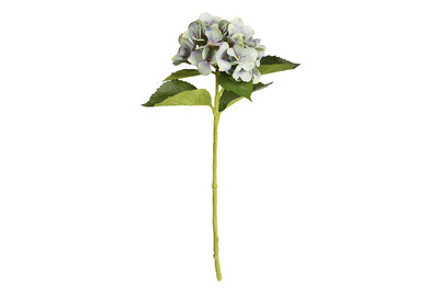 Image of Hortensie blau 51cm bei JUMBO