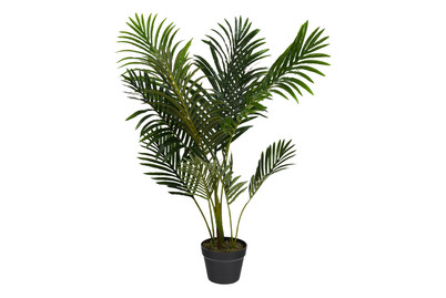 Image of Areca Palme IN Topf Gruen H100Xd70Cm bei JUMBO