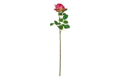 Image of Rose dunkelrosa 69cm