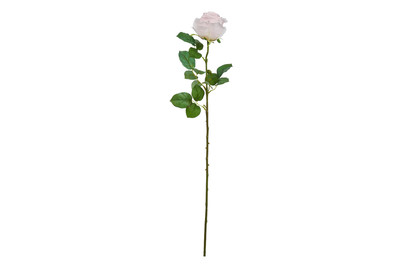 Image of Rose rosa 69cm