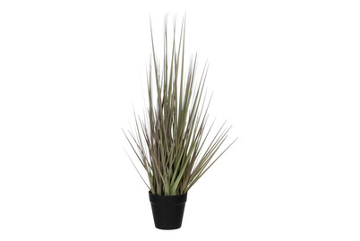 Image of Gras H53xd30cm violett In Topf bei JUMBO