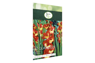 Image of Blumenzwiebeln Gladiolen Stereo bei JUMBO