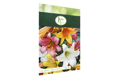 Image of Blumenzwiebeln Trompetenlilien Mischung bei JUMBO