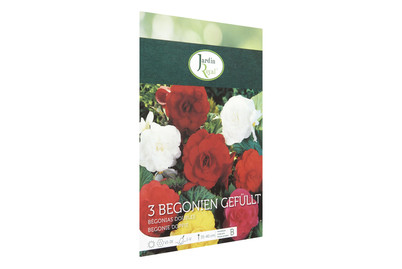 Image of Blumenzwiebeln Begonien Gefüllt bei JUMBO