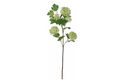 Image of Viburnum grün 66cm