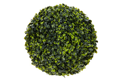 Image of Buxus Kugel grün Wp.& UV res Ø 28cm
