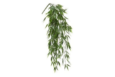 Image of Bambus hängend grün 76x20x10cm
