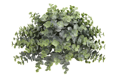Image of Eukalyptus halbe Kugel grün ØxH 26x15 cm