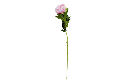 Image of Pfingstrose rosa 76cm