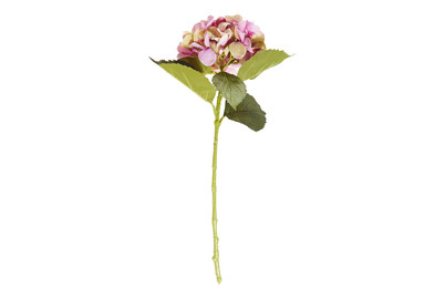 Image of Hortensie rosa 51cm