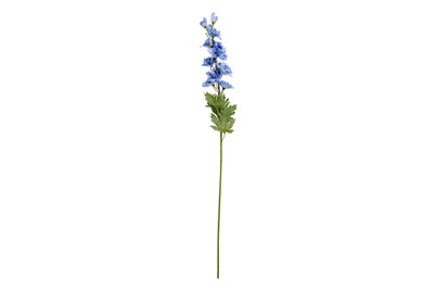 Image of Delphinium blau 78cm bei JUMBO