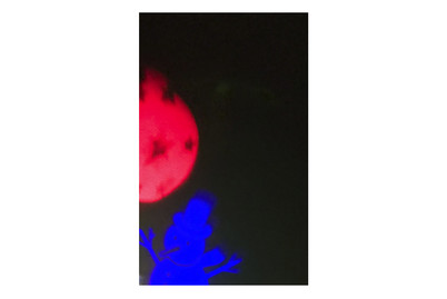 Image of LED-Projektor Santa