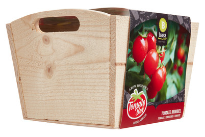Image of Tomato BOX Culinair Minibel
