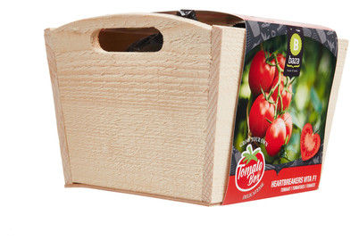 Image of Tomato BOX Culinair Hearbreakers Vita