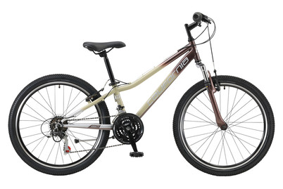 Image of California Jugend-MTB Gravity 24 34cm bei JUMBO