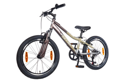 Image of California Jugend-Mountainbike Gravity 20 – 20 / 24.5cm – Braun-Silber