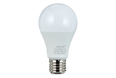 Image of Mood LED Leuchtmittel Rgbw mit Fernbedie bei JUMBO