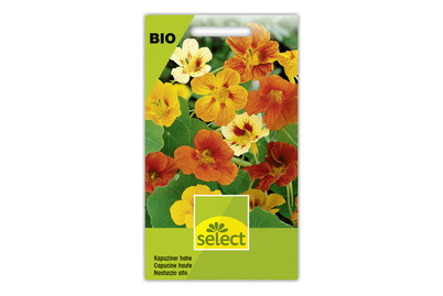 Image of Select BIO-Kapuziner Hoch bei JUMBO