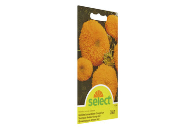 Image of Select Gefüllte Sonnenblume Orange SUN bei JUMBO